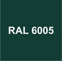 Порошок Шагрень RAL 6005